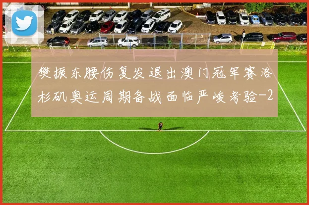 樊振东腰伤复发退出澳门冠军赛洛杉矶奥运周期备战面临严峻考验
