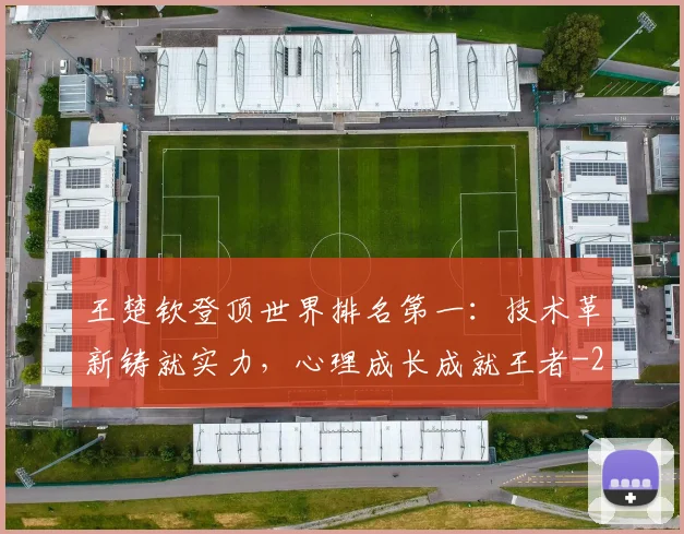 王楚钦登顶世界排名第一:技术革新铸就实力,心理成长成就王者