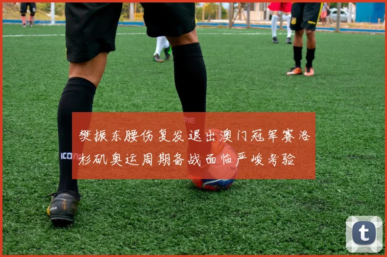 樊振东腰伤复发退出澳门冠军赛洛杉矶奥运周期备战面临严峻考验